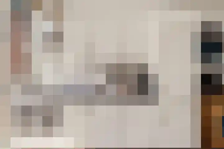 Bosweg 53 Gouda thumbnail 9