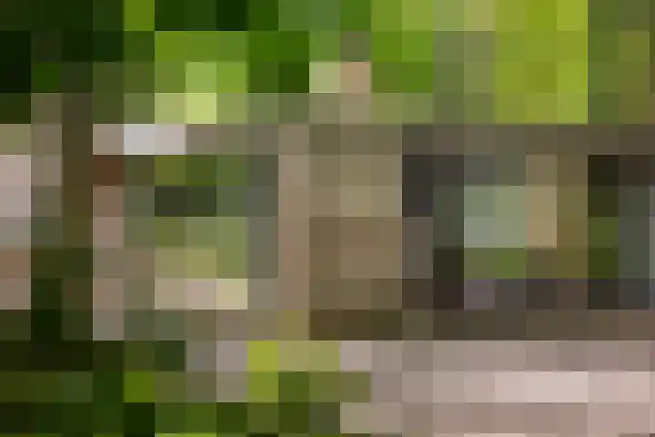 Bosweg 6 Epse thumbnail 11