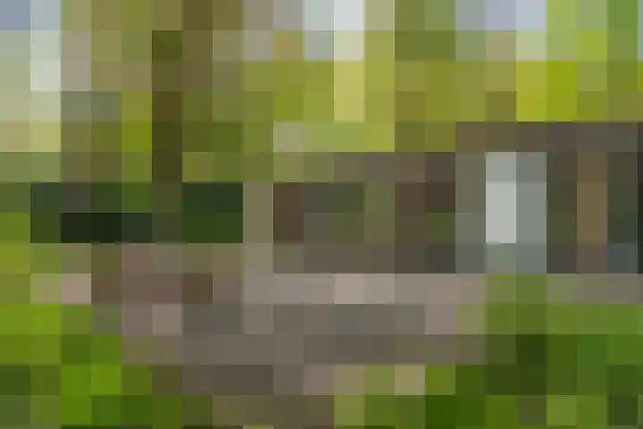 Bosweg 6 Epse foto 2
