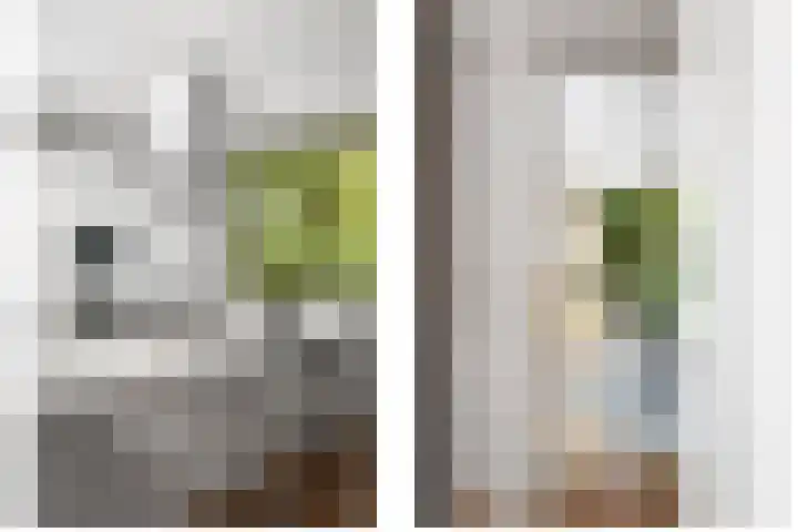 Bosweg 6 Epse thumbnail 30
