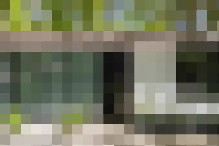 Bosweg 6 Epse thumbnail 33