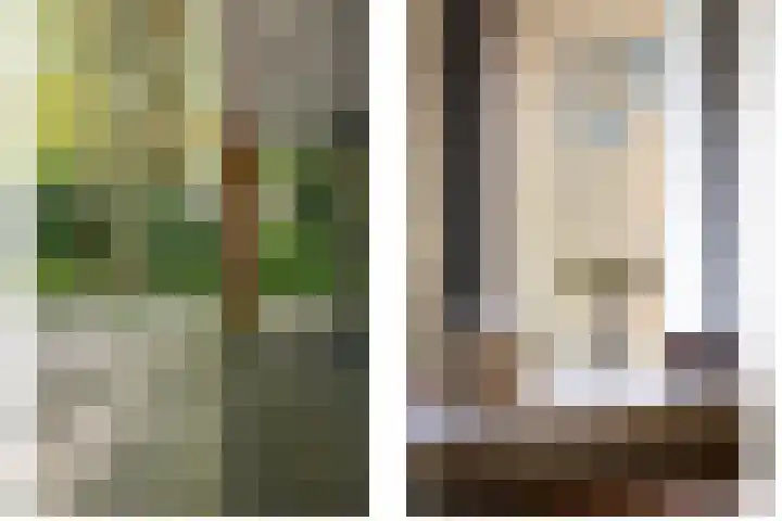 Bosweg 6 Epse thumbnail 37