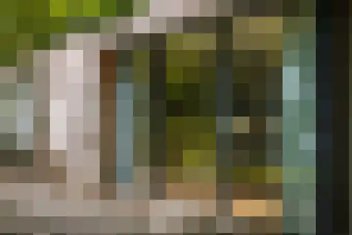 Bosweg 6 Epse thumbnail 58