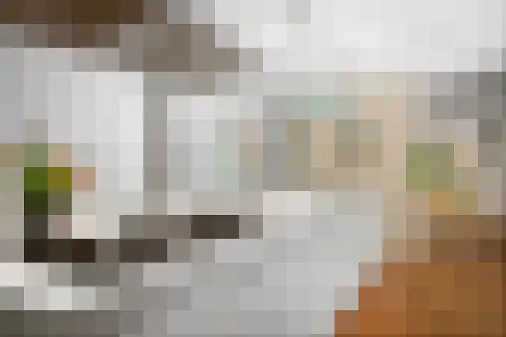 Bosweg 6 Epse thumbnail 6
