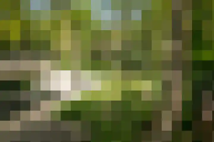 Bosweg 6 Epse thumbnail 62
