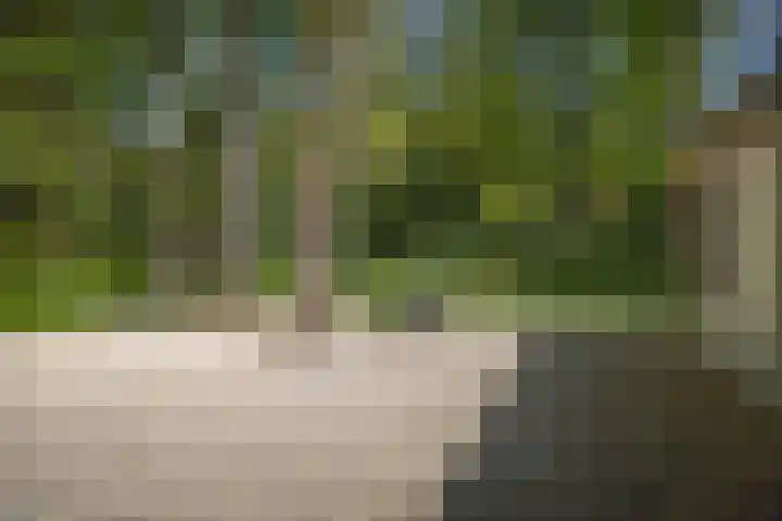 Bosweg 6 Epse thumbnail 63