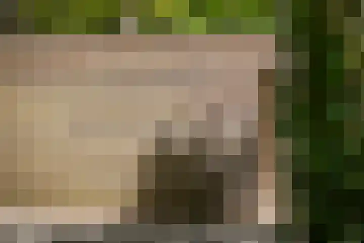 Bosweg 6 Epse thumbnail 68