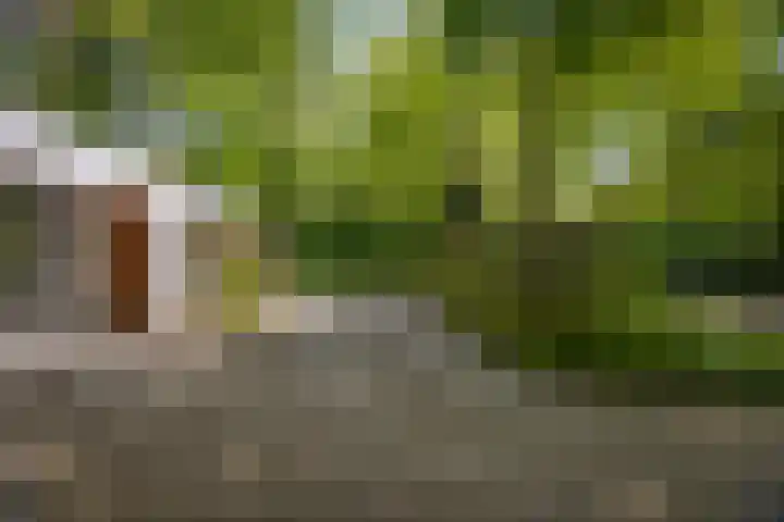 Bosweg 6 Epse thumbnail 8