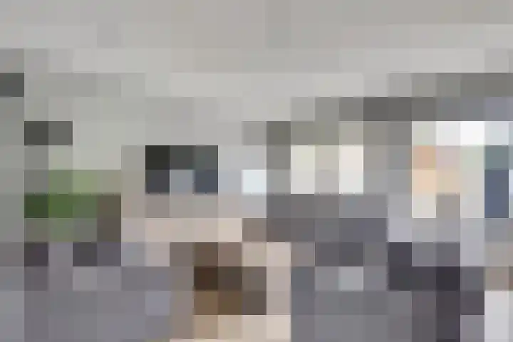 Bosweg 71 Strijen thumbnail 12