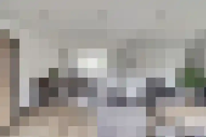 Bosweg 71 Strijen thumbnail 14