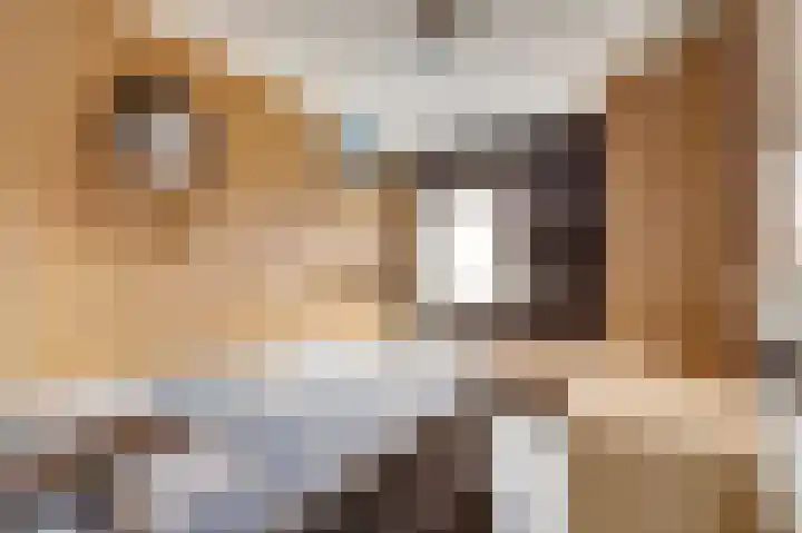 Bosweg 71 Strijen thumbnail 19