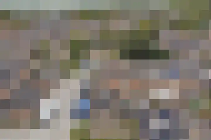Bosweg 71 Strijen thumbnail 32
