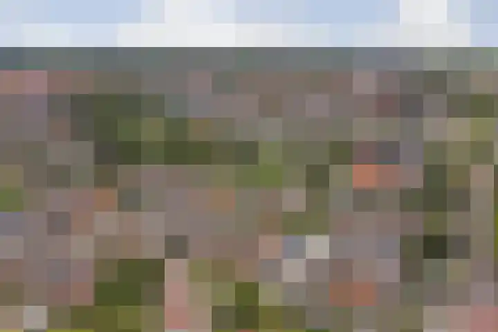 Bosweg 71 Strijen thumbnail 36