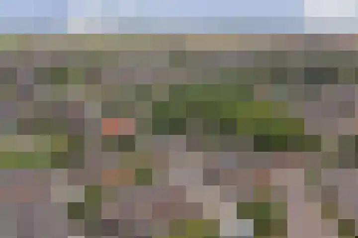 Bosweg 71 Strijen thumbnail 37