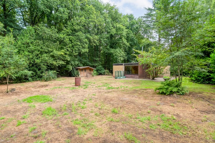 Bosweg 74 in Dalfsen foto