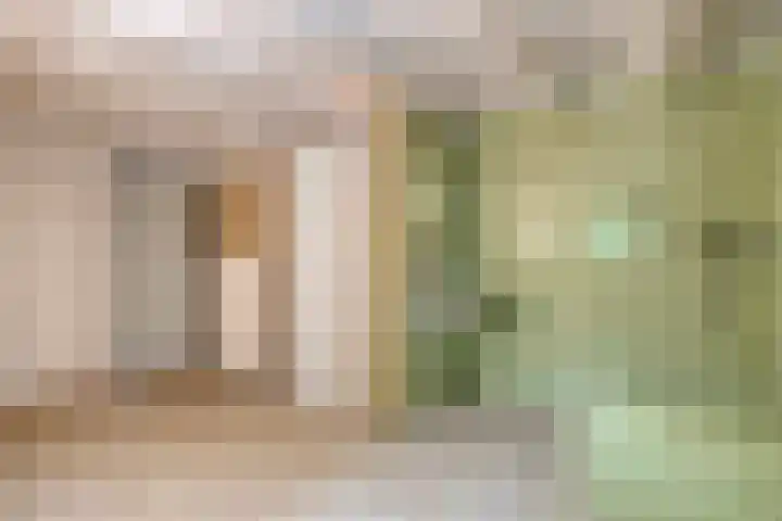 Bosweg 74 Dalfsen thumbnail 24