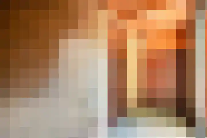 Bosweg 74 Dalfsen thumbnail 30