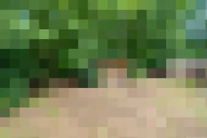Bosweg 74 Dalfsen thumbnail 31