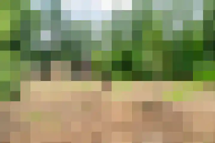 Bosweg 74 Dalfsen thumbnail 33