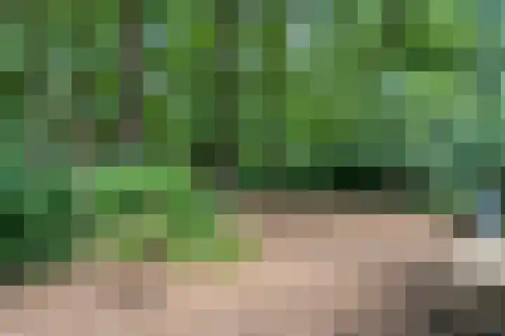 Bosweg 74 Dalfsen thumbnail 36