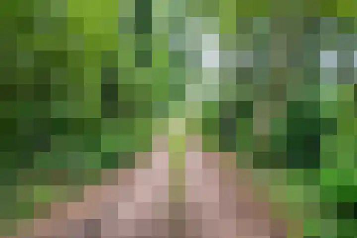 Bosweg 74 Dalfsen thumbnail 39