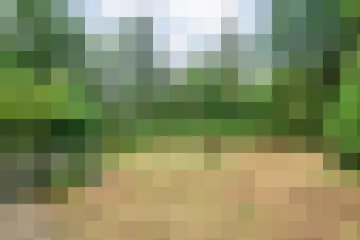 Bosweg 74 Dalfsen thumbnail 4