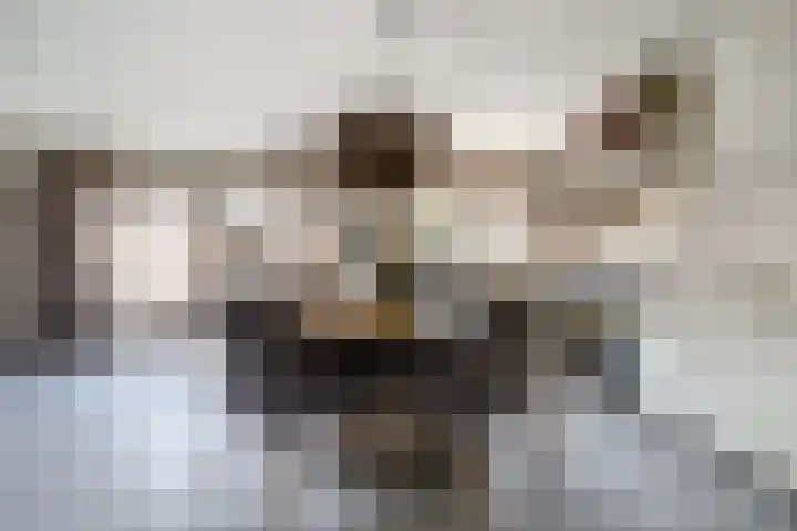Bosweistraat 3 Bemmel thumbnail 11