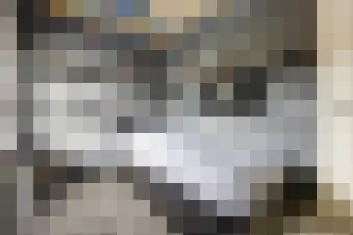 Bosweistraat 3 Bemmel thumbnail 32