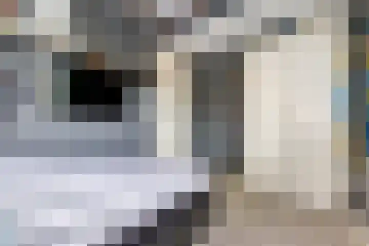 Bosweistraat 3 Bemmel thumbnail 33