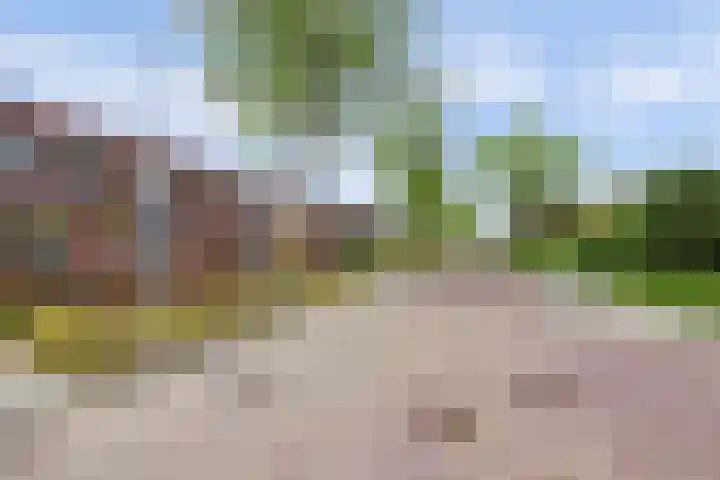 Bosweistraat 3 Bemmel thumbnail 39