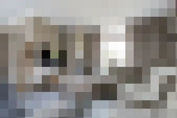 Bosweistraat 3 Bemmel thumbnail 4