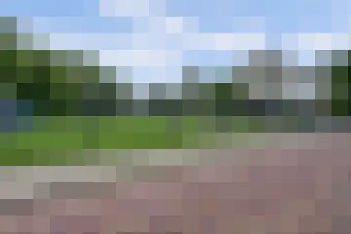 Bosweistraat 3 Bemmel thumbnail 40