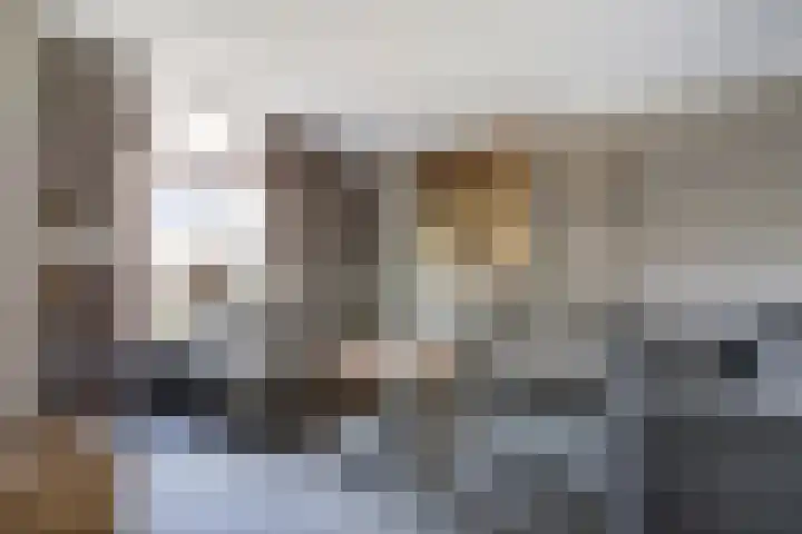 Bosweistraat 3 Bemmel thumbnail 6