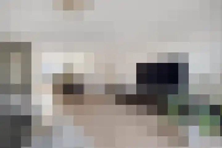 Boswerf 6 Dedemsvaart thumbnail 12