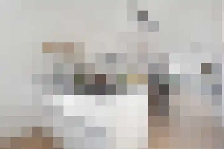 Boswerf 6 Dedemsvaart thumbnail 16
