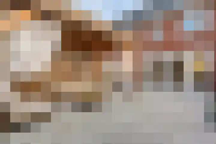 Boswerf 6 Dedemsvaart thumbnail 32