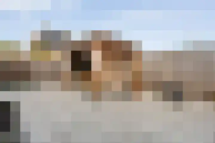 Boswerf 6 Dedemsvaart thumbnail 34