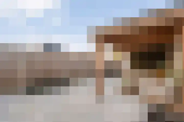 Boswerf 6 Dedemsvaart thumbnail 35
