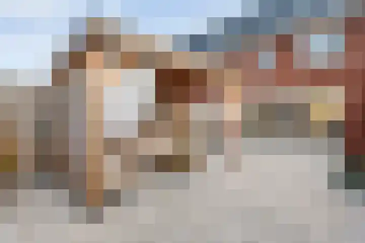 Boswerf 6 Dedemsvaart thumbnail 36