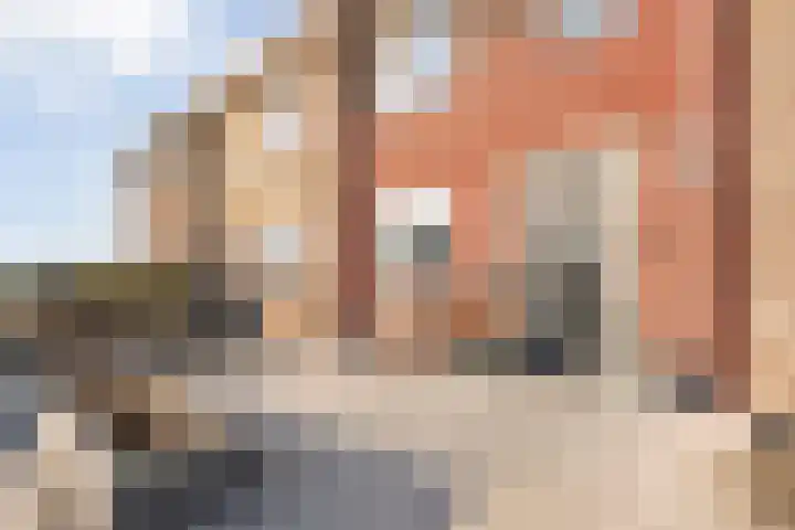 Boswerf 6 Dedemsvaart thumbnail 37