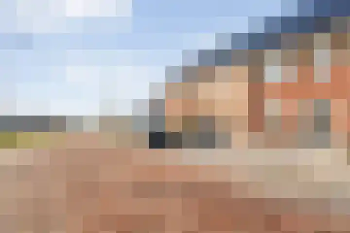 Boswerf 6 Dedemsvaart thumbnail 4
