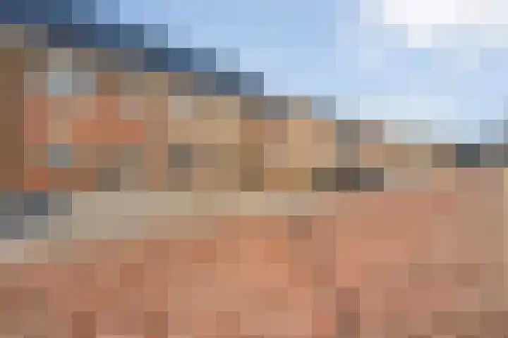 Boswerf 6 Dedemsvaart thumbnail 5