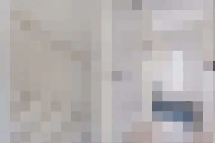 Boswerf 6 Dedemsvaart thumbnail 6