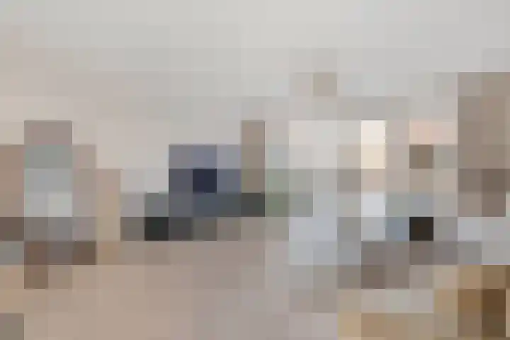 Boswerf 6 Dedemsvaart thumbnail 8