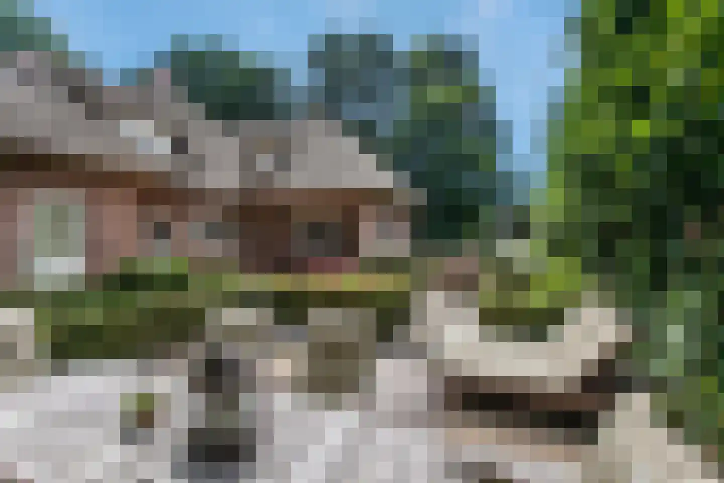 Boswinde 125 Den Haag thumbnail 15