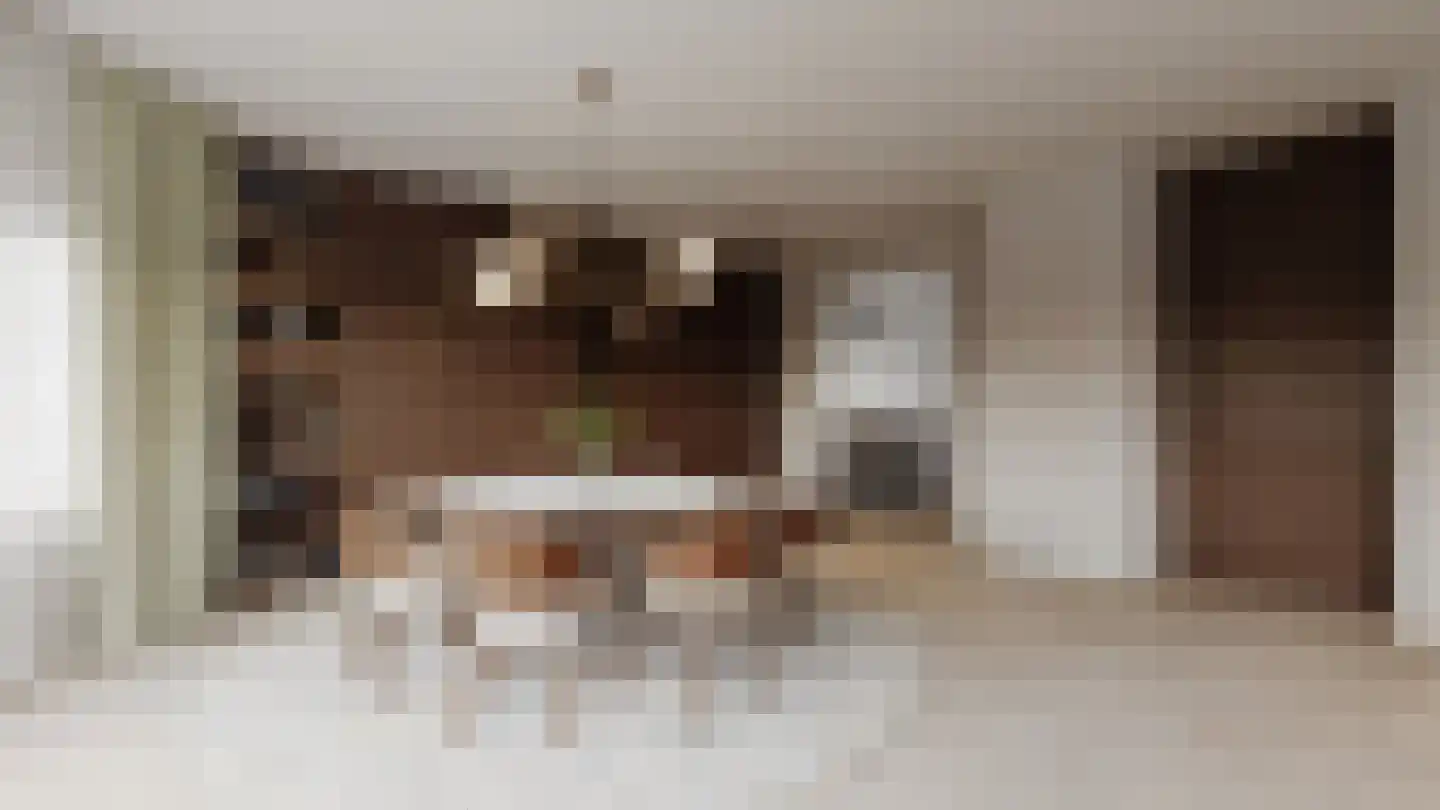 Boswinde 125 Den Haag thumbnail 5
