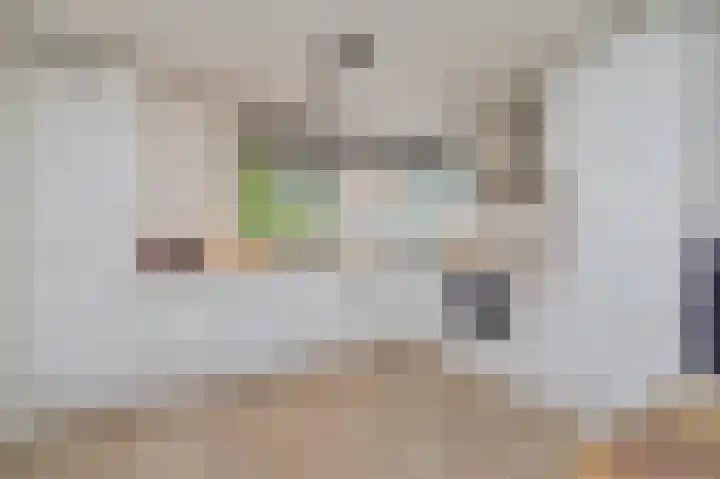 Boswinde 13 Den Haag thumbnail 11