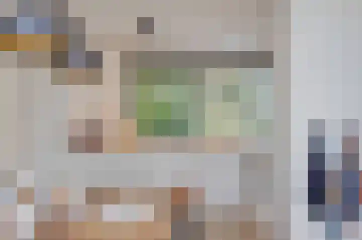 Boswinde 13 Den Haag thumbnail 12