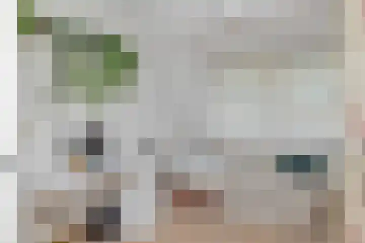 Boswinde 13 Den Haag thumbnail 19