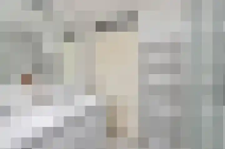 Boswinde 13 Den Haag thumbnail 22